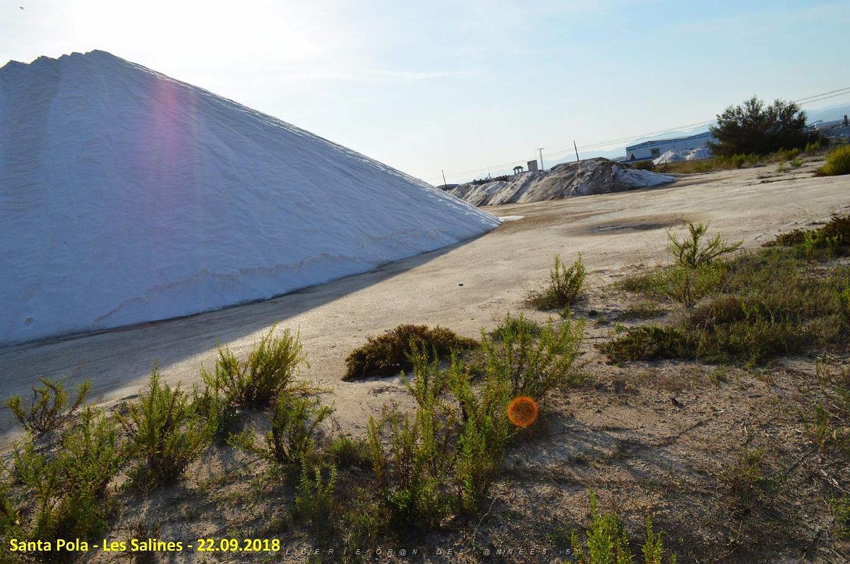 33 SANTA POLA LES SALINES (14).JPG